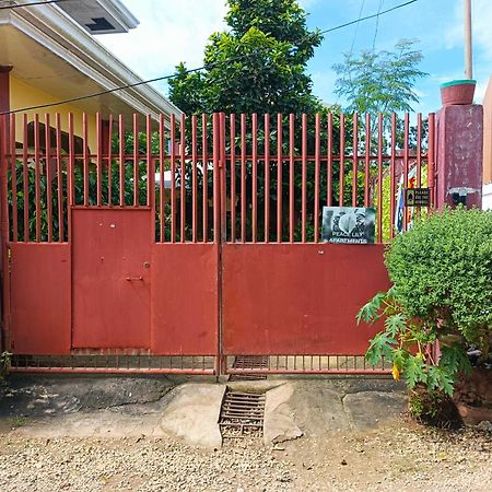 Peace Lily Studio Apartments Panglao City Exterior foto
