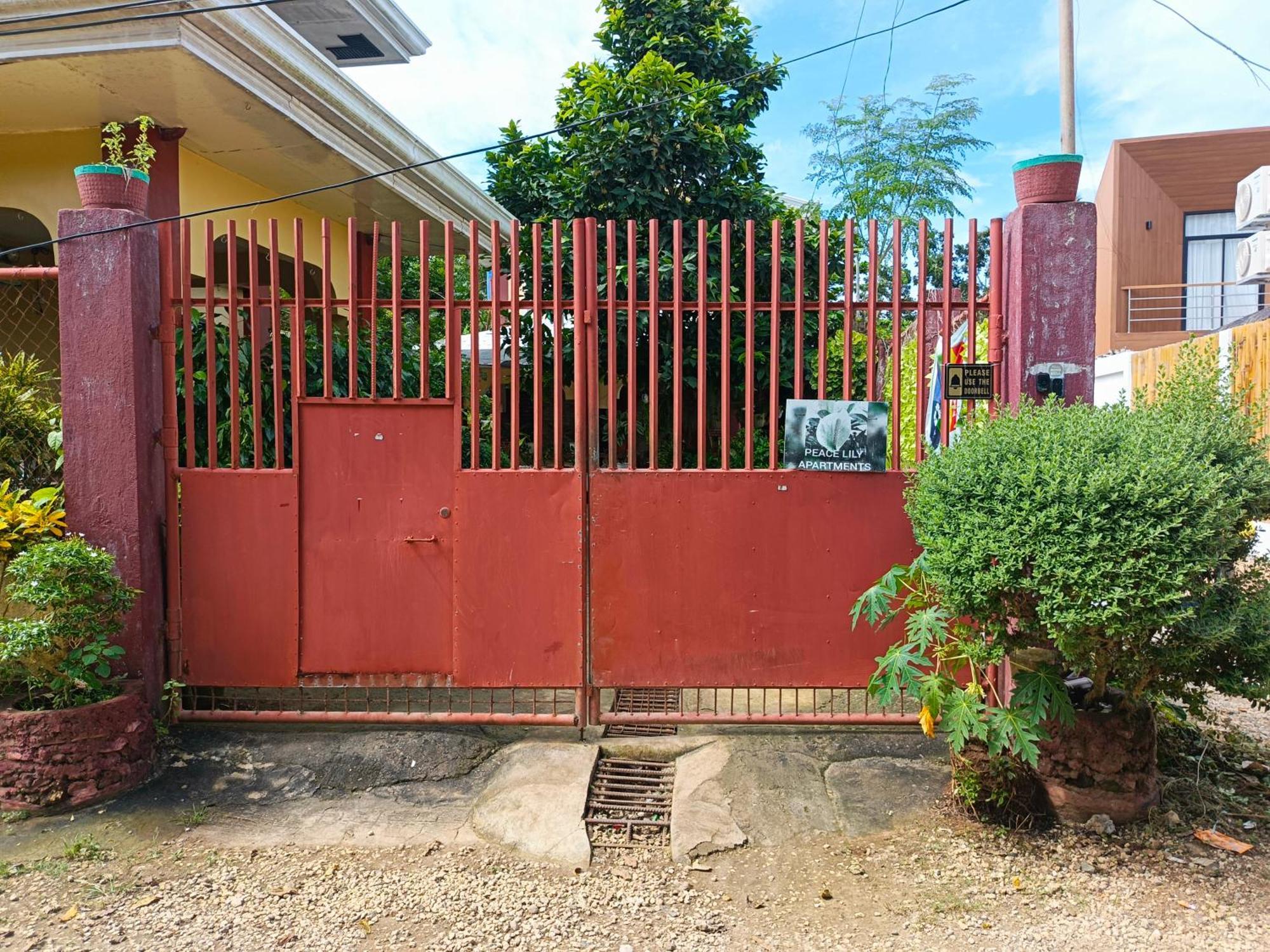 Peace Lily Studio Apartments Panglao City Exterior foto