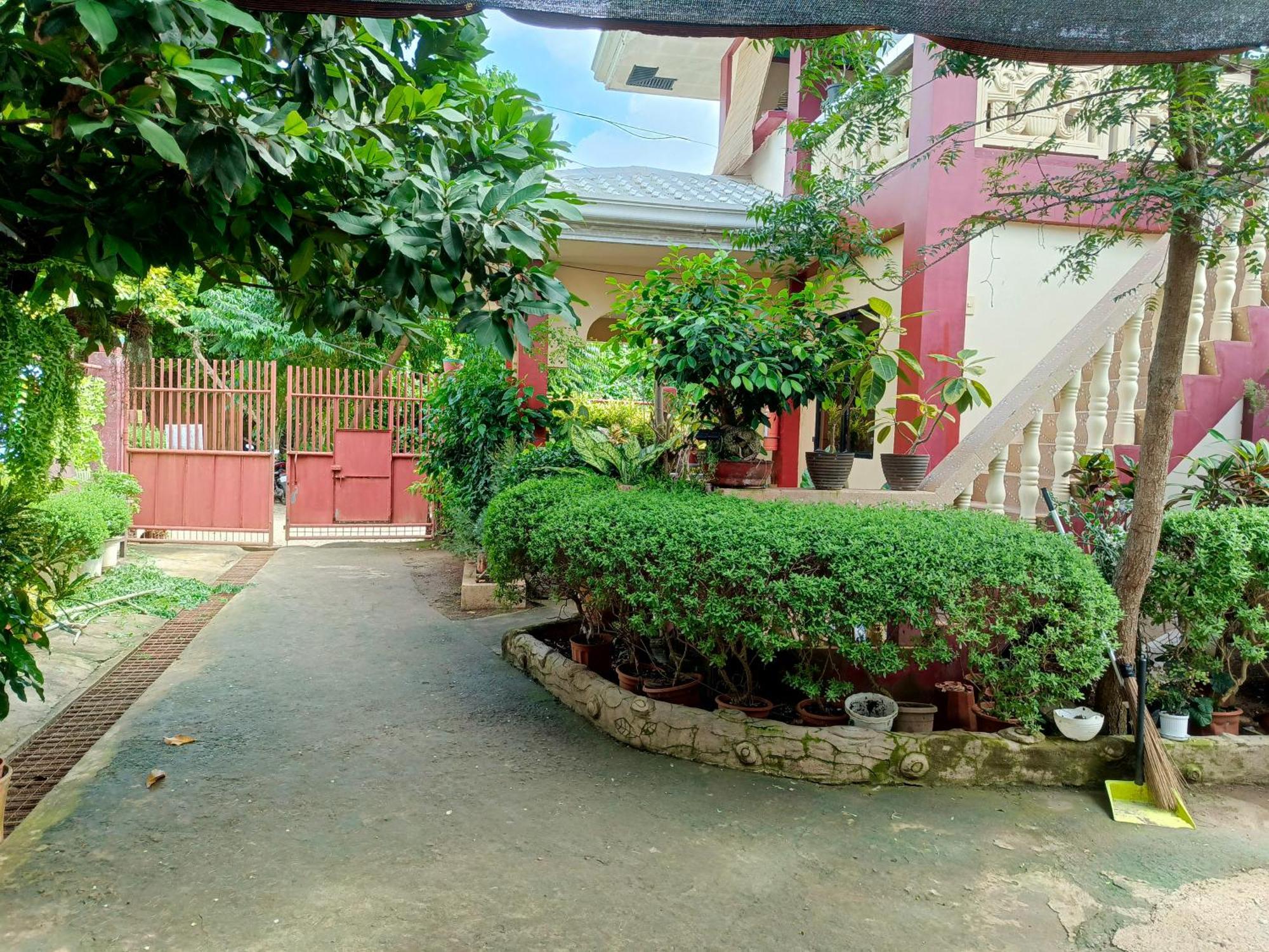 Peace Lily Studio Apartments Panglao City Exterior foto