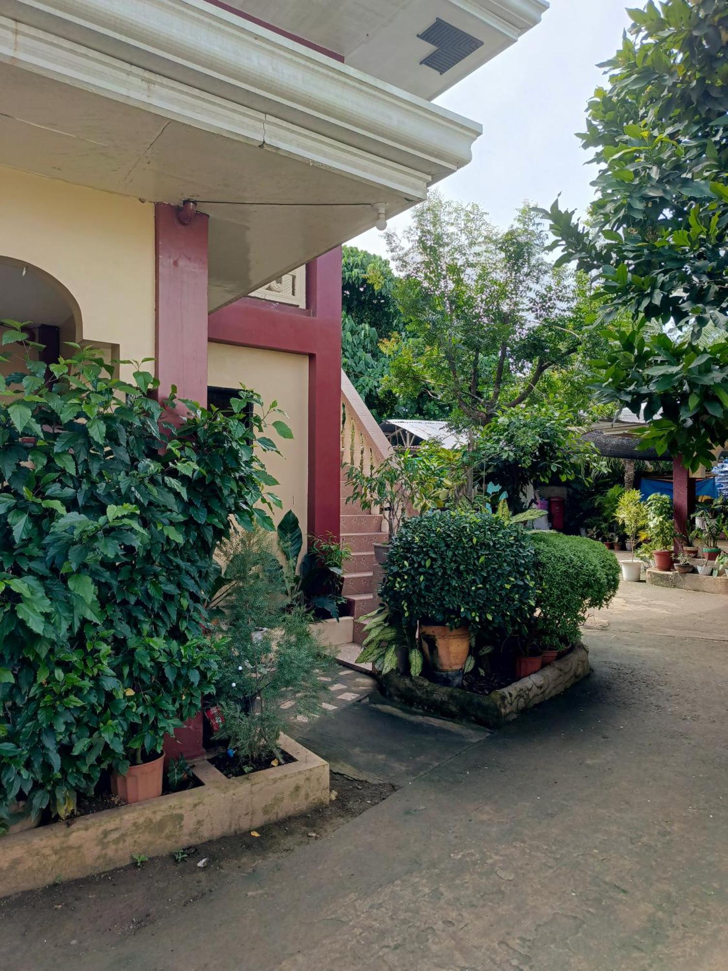Peace Lily Studio Apartments Panglao City Exterior foto